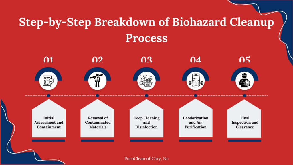 Step-by-Step Breakdown of the Cleanup Process 