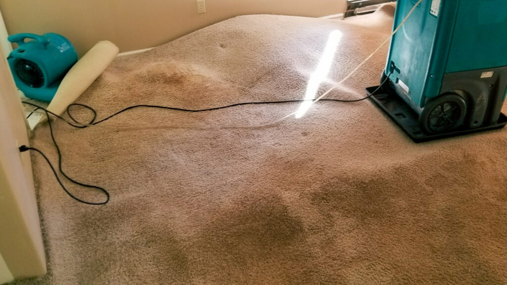 water damage apex NC