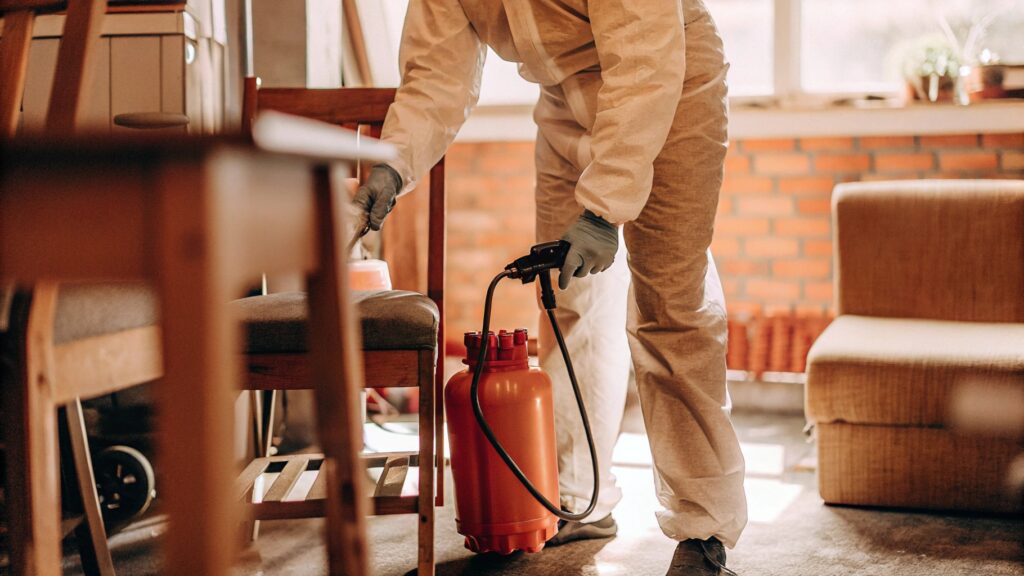 Professional performing biohazard cleanup inside a residential home