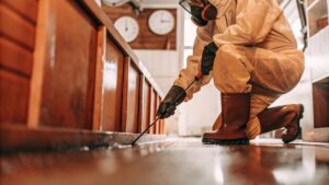 Professional wearing protective gear performing the biohazard cleanup process in Apex NC to ensure safe sanitization