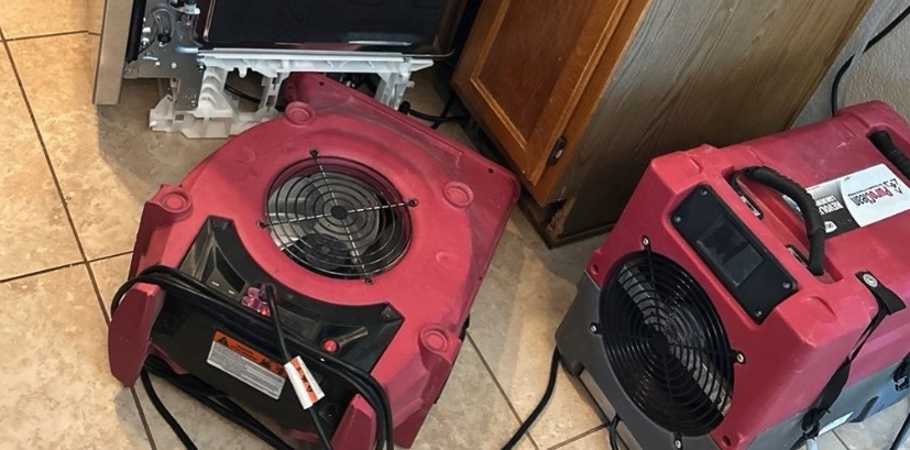 mold odor removal