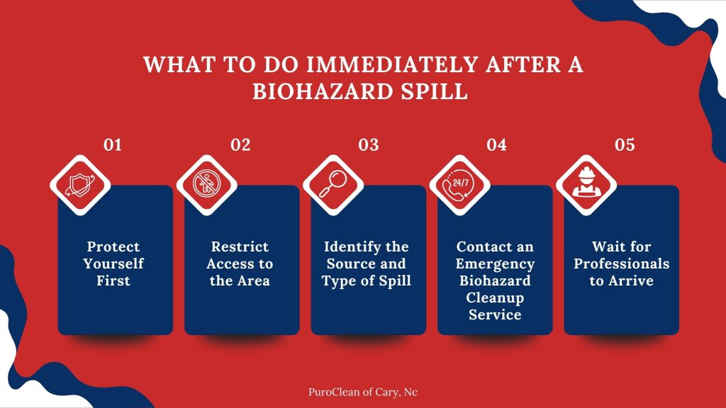 Infographic titled ‘What to Do Immediately After a Biohazard Spill,’ showing five steps: protect yourself, restrict access, identify the spill, contact an emergency biohazard cleanup service, and wait for professionals. Designed with red and blue graphics and icons.