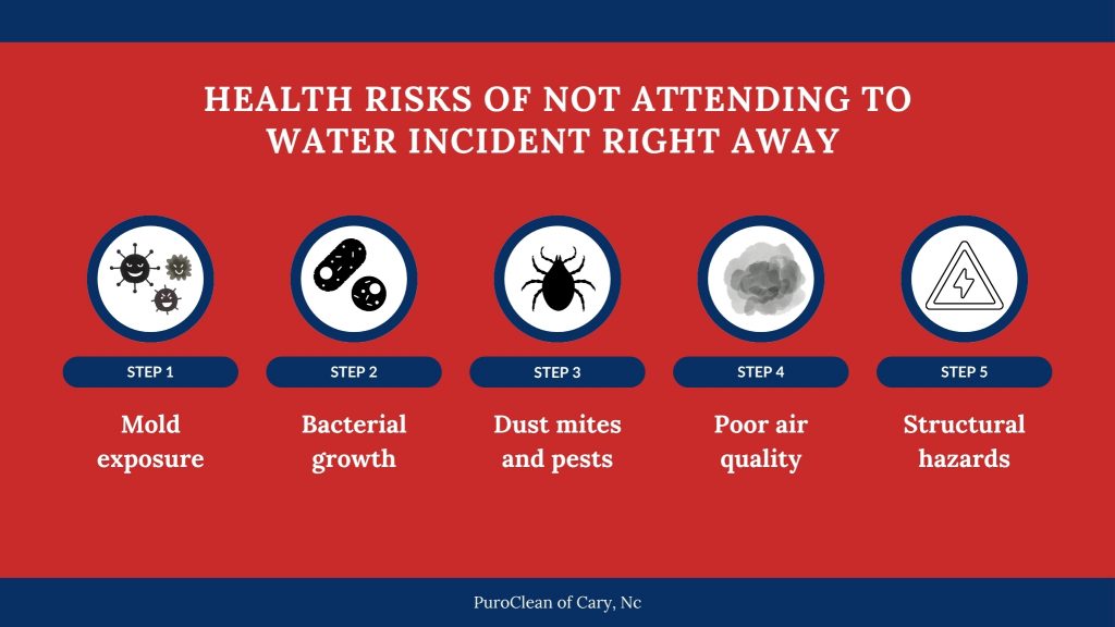 Infographic outlining the health risks of not addressing a water incident immediately, including mold exposure, bacterial growth, dust mites and pests, poor air quality, and structural hazards.
