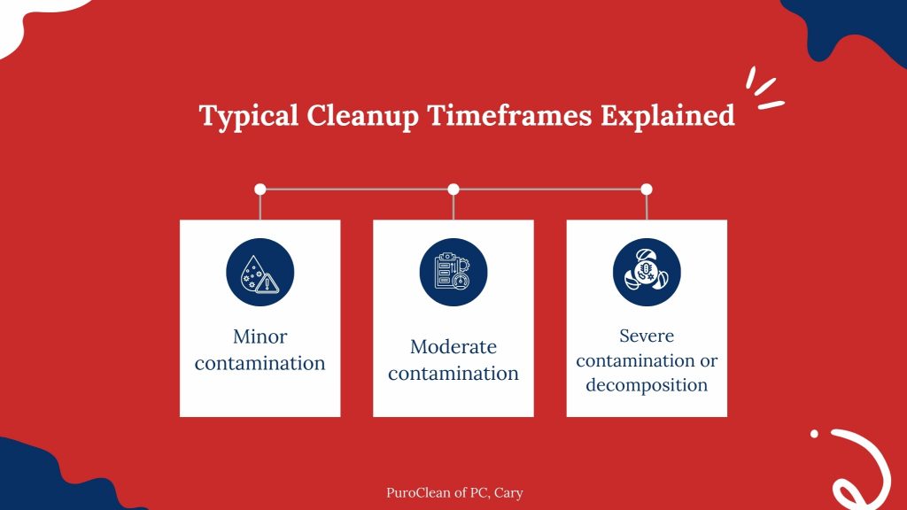 Infographic titled “Typical Cleanup Timeframes Explained” showing cleanup timelines for minor contamination, moderate contamination, and severe contamination or decomposition by PuroClean of Cary.