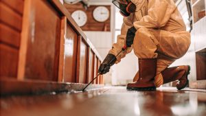 Professional wearing protective gear performing the biohazard cleanup process in Apex NC to ensure safe sanitization