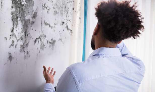 What to Do About Mold During Spring Cleaning