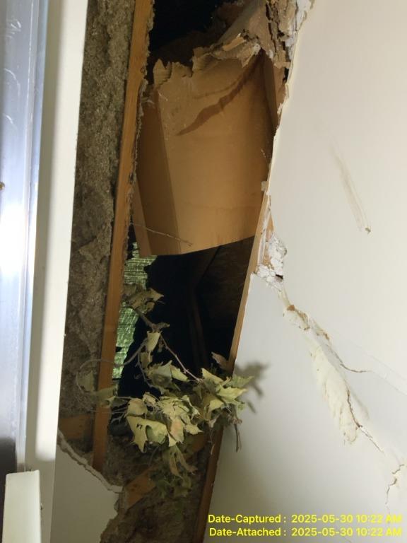 Hole in roof caused by fallen tree during tornado showing structural storm damage in St. Louis home.