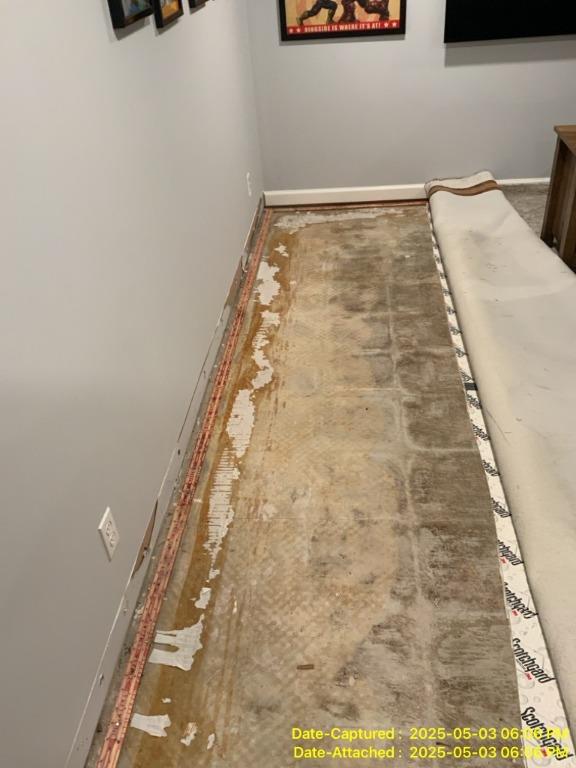 Carpet and padding removed to expose wet subfloor during washing machine leak cleanup in Belleville, IL home.