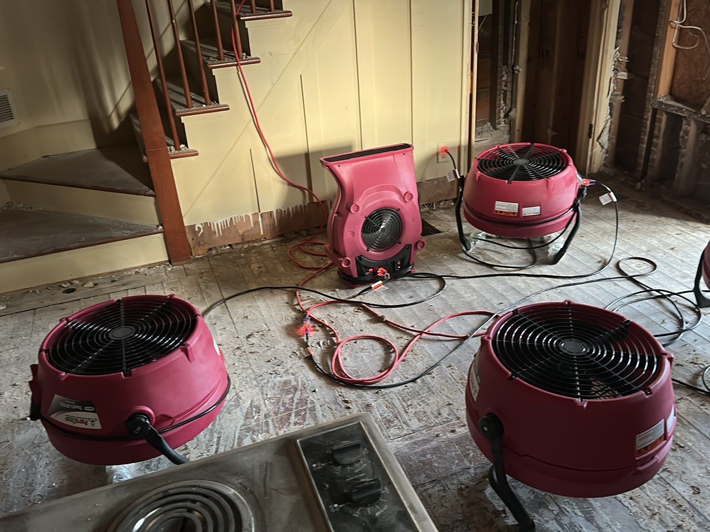 Equipment set up to dry mold free area