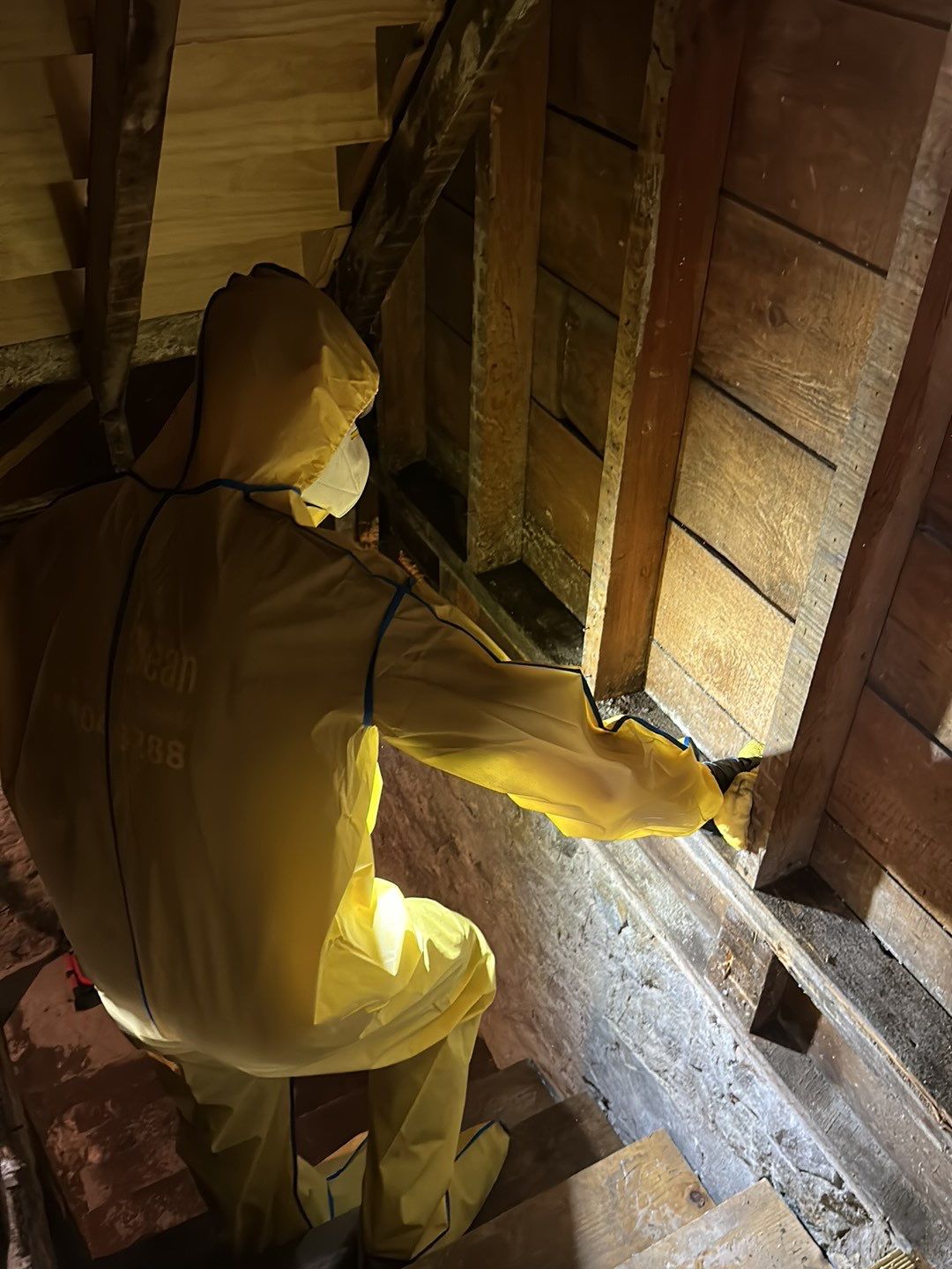 Wearing PPE while treating mold with special cleaning products to ensure it doesn't return