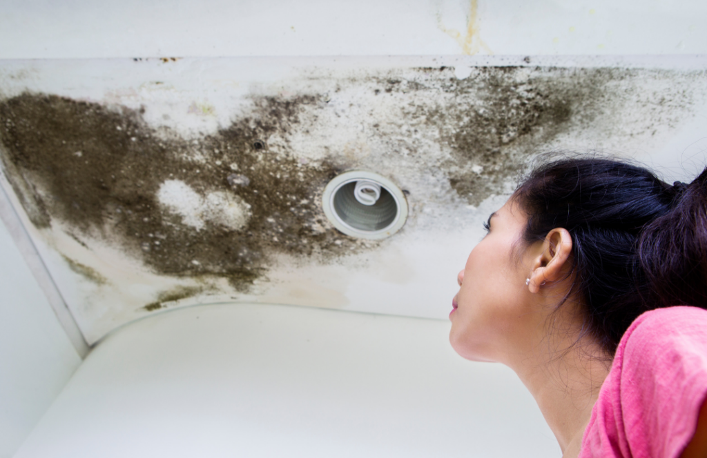 how to check for mold after damage