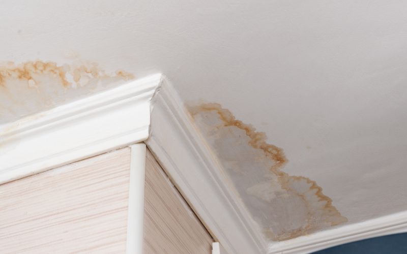 is mold from water damage dangerous