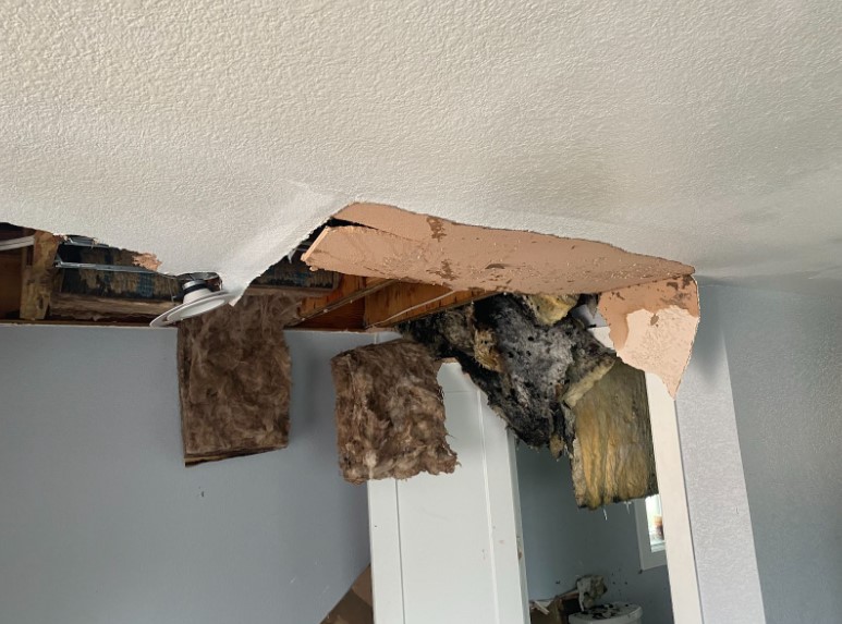 Preventing Mold and Structural Damage