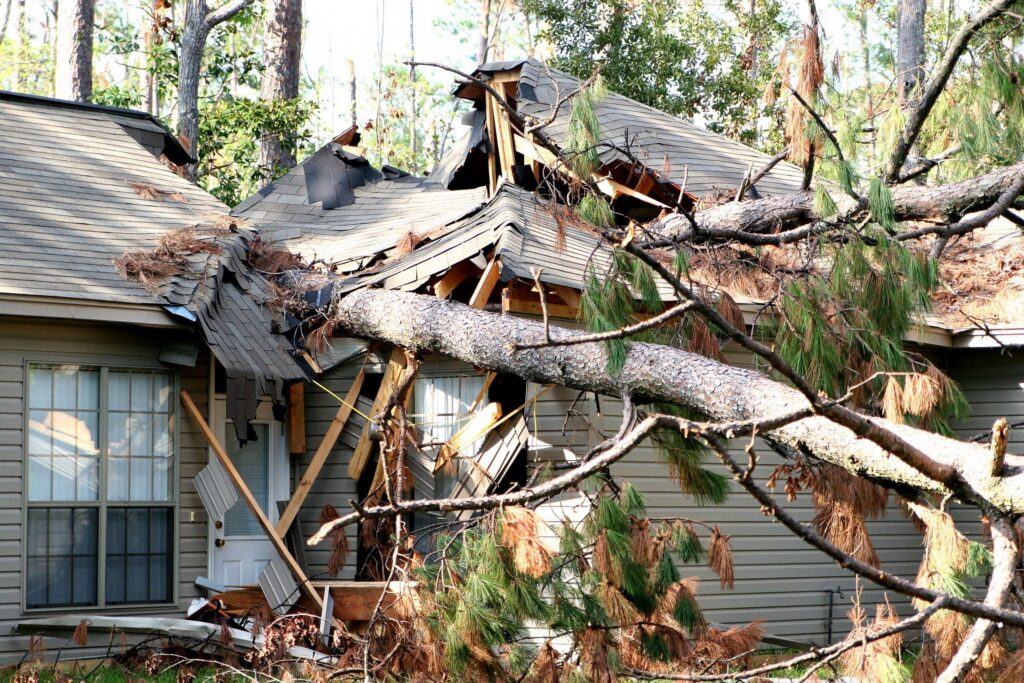 A tree is blown over to hit a house during hurricane Katrina.