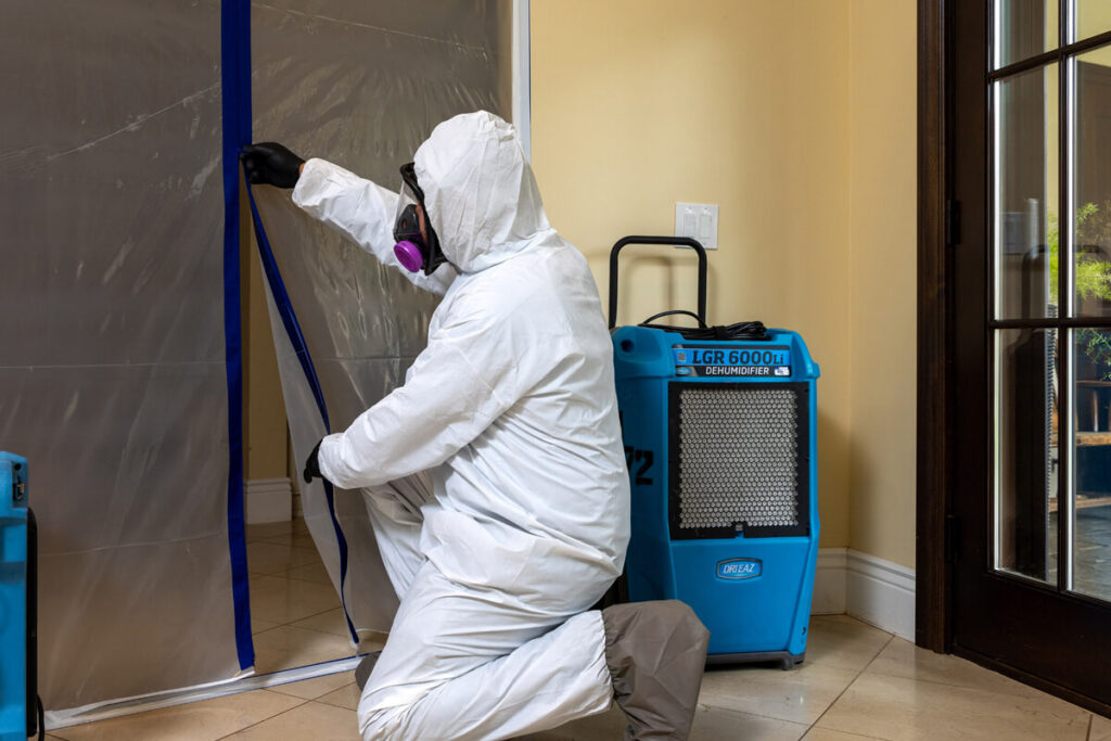 certified mold removal technician in protective gear performing remediation