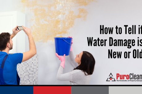How to Tell if Water Damage is New or Old