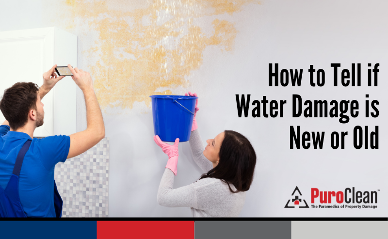 How to Tell if Water Damage is New or Old