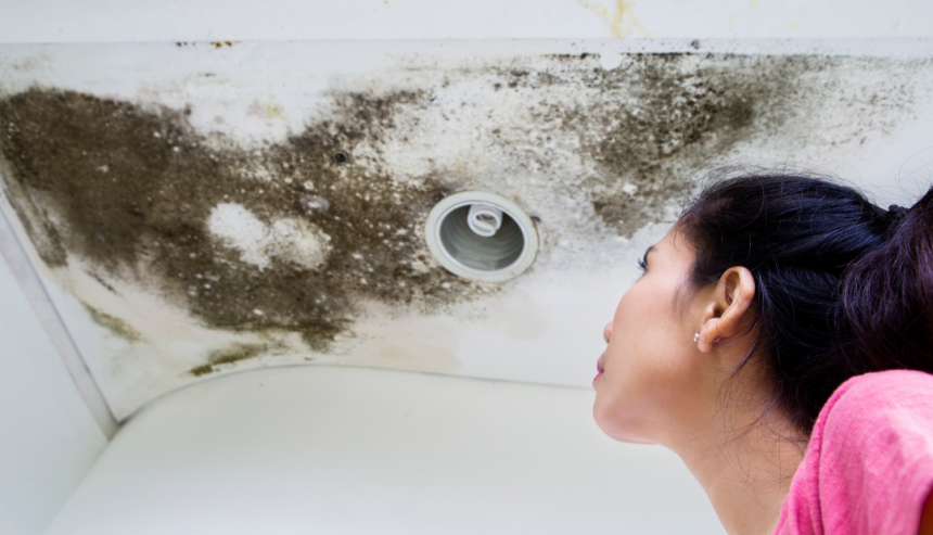 how to check for mold after damage