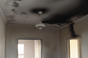 Smoke residue visible in rooms not directly affected by flames