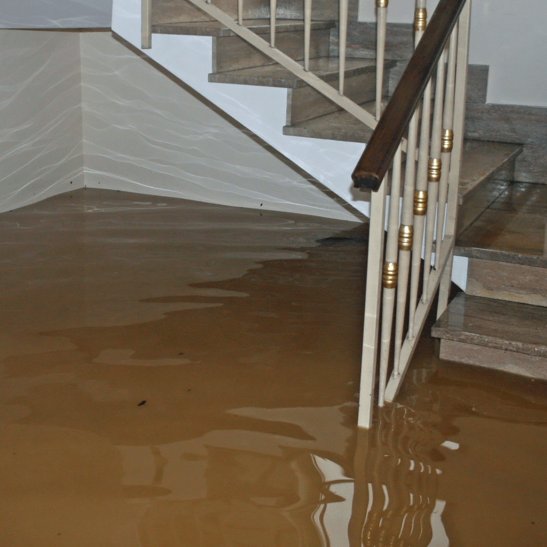 Who to Contact When You Have Emergency Water Damage in Centennial, CO?