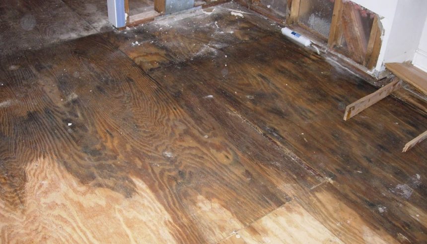water damage spreading under hardwood floors residential home