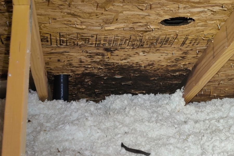 Moisture condensation and early mold development in the attic insulation of a Centennial CO home during winter