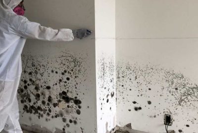 Mold growth discovered behind drywall during a professional mold inspection in a Centennial CO residential home