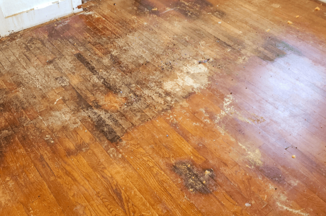 water damaged floor