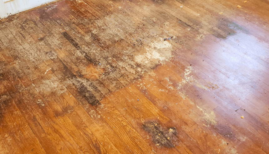 water damaged floor