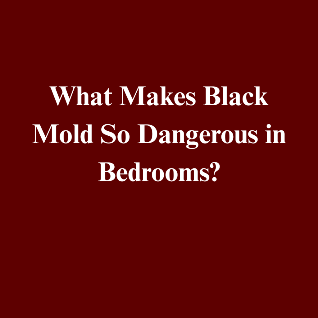 Black Mold Abatement Service in Fort Wayne: Health Risks and Professional Removal Costs