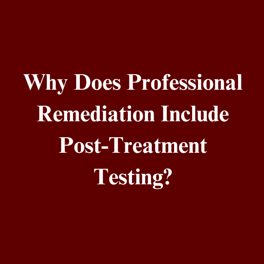 DIY Mold Remediation in Fort Wayne