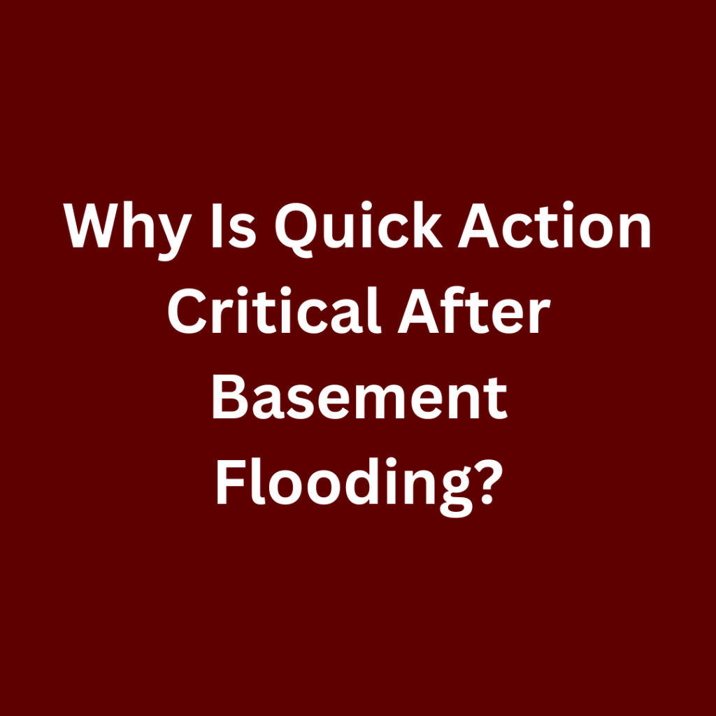 Homeowner cleaning flooded basement floor to prevent mold growth after water damage
