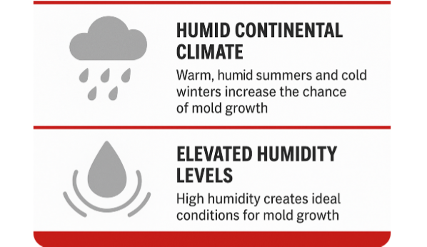 Mold Problem Restoration in Fort Wayne, Indiana