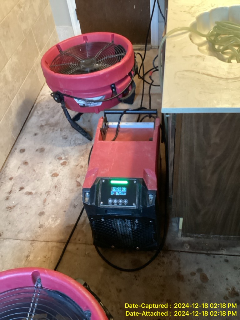 Understanding the Connection Between Mold and Psoriasis: A Guide for Fort Wayne Homeowners