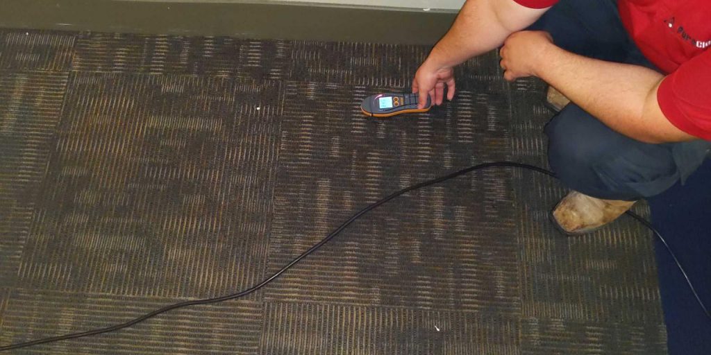 Moisture Testing on the wall image - What Is the Difference Between White Mold and Mildew in Fort Wayne Homes - Mold removal service in Fort wayne