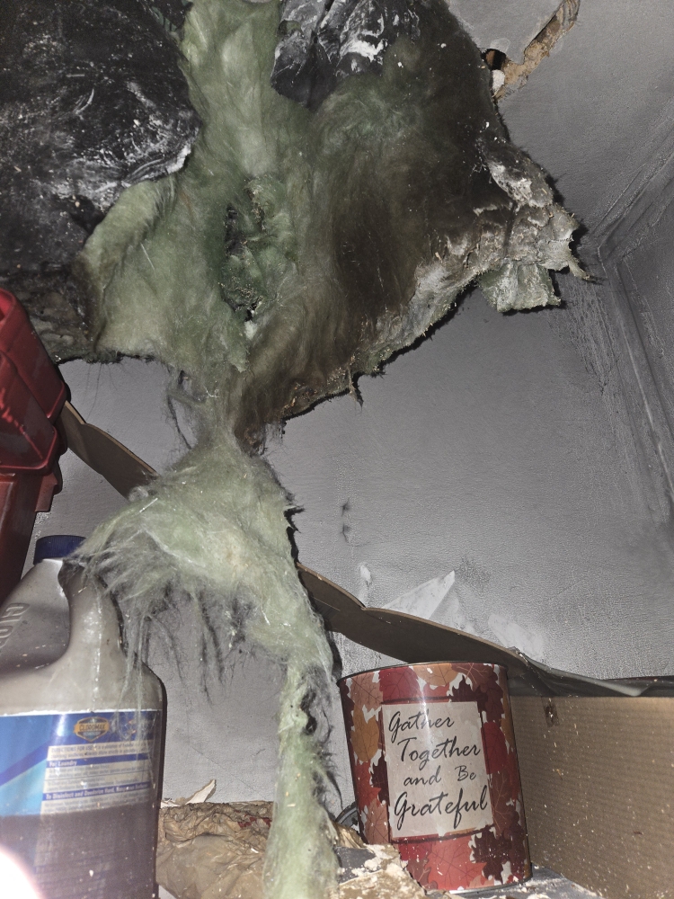 What Causes Hoarding Smell in Fort Wayne Homes and the Best Way to Remove It Permanently