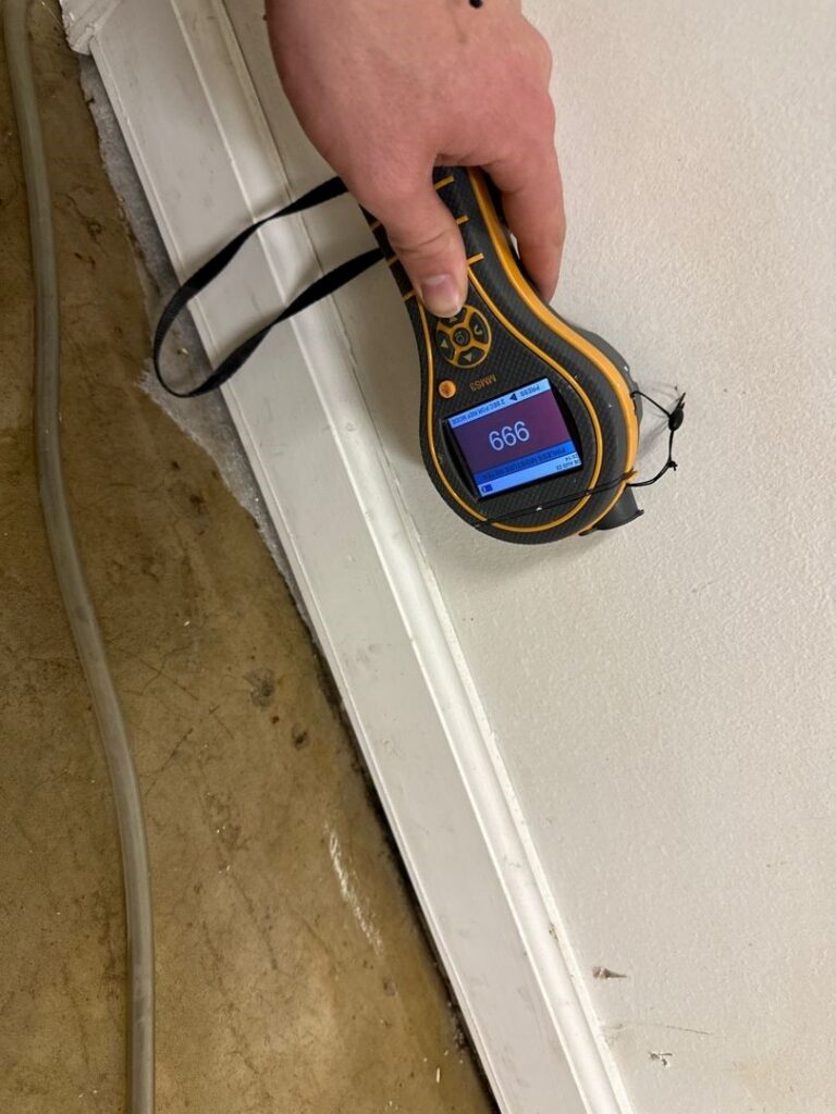 Steps to Stop Window Mold Before It Spreads