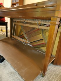 The piano in need of a mold removal.