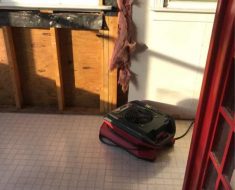 Hurricane Florence PuroClean Disaster Restoration of Charleston