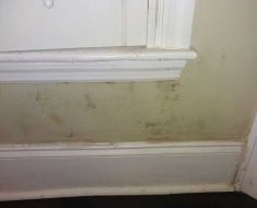 Hurricane Florence PuroClean Disaster Restoration of Charleston