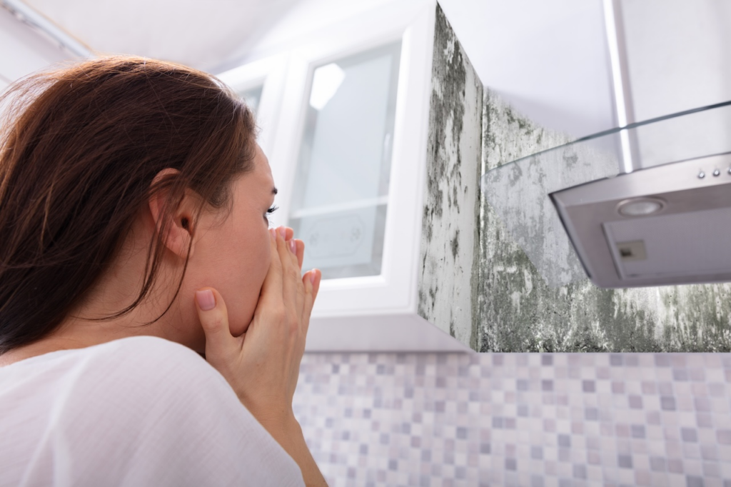 Shocked woman discovers extensive black mold on kitchen walls