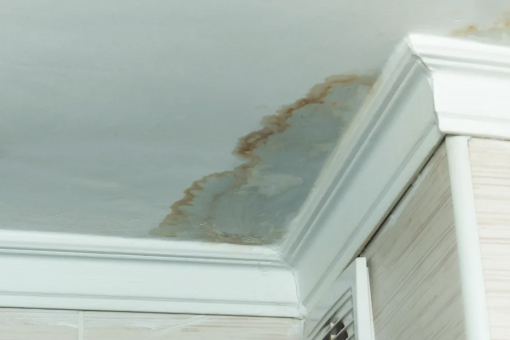 A light-colored ceiling corner shows significant brown water damage and discoloration from a leak.