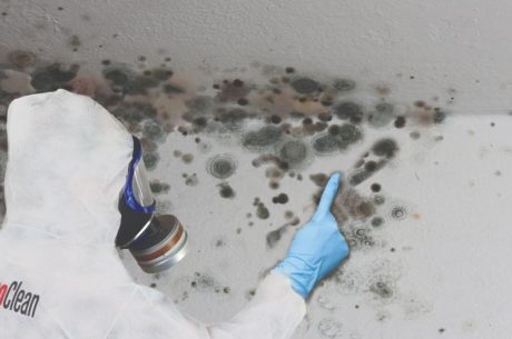 mold in historic New Jersey homes