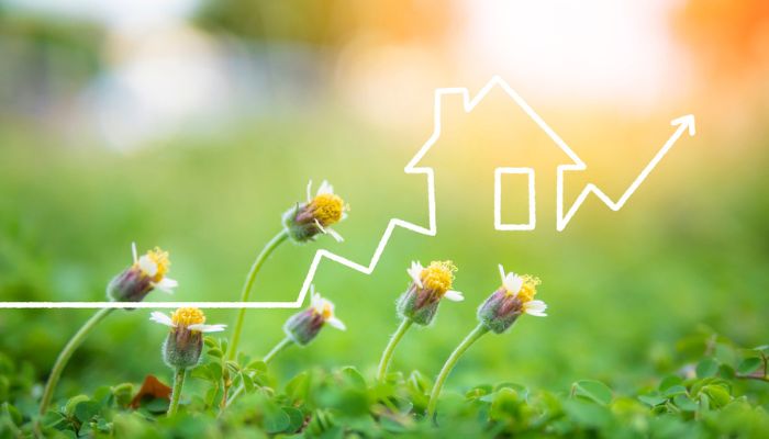 Spring Check Up: How to Detect Early Signs Of Mold