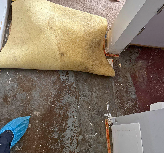 PuroClean staff removing water damaged carpet and pad.