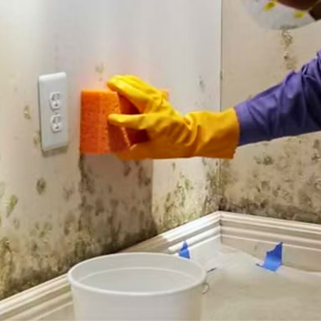 DIY mold cleanup