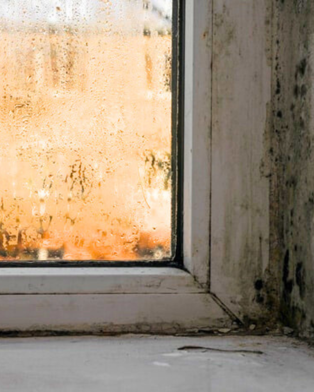 Mold on windowsill