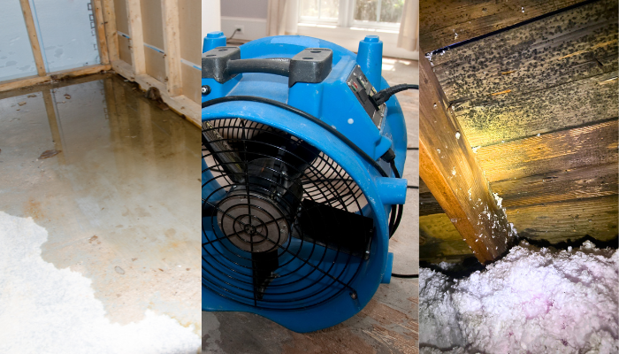 Mold remediation, sewage backup, water leaks - we can handle it!