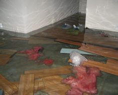 Flooded entry before water damage remediation by PuroClean Property Restoration Specialists