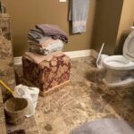 toilet overflow